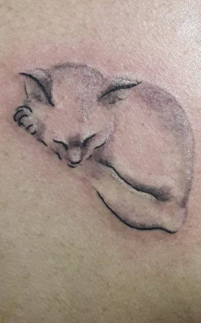 Lovely Kitty Tattoo