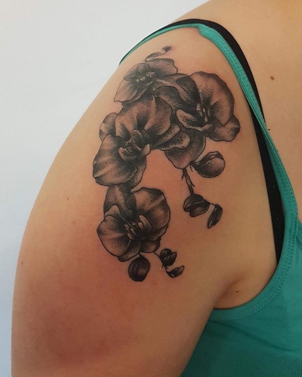 Orchid Tattoo For Girls