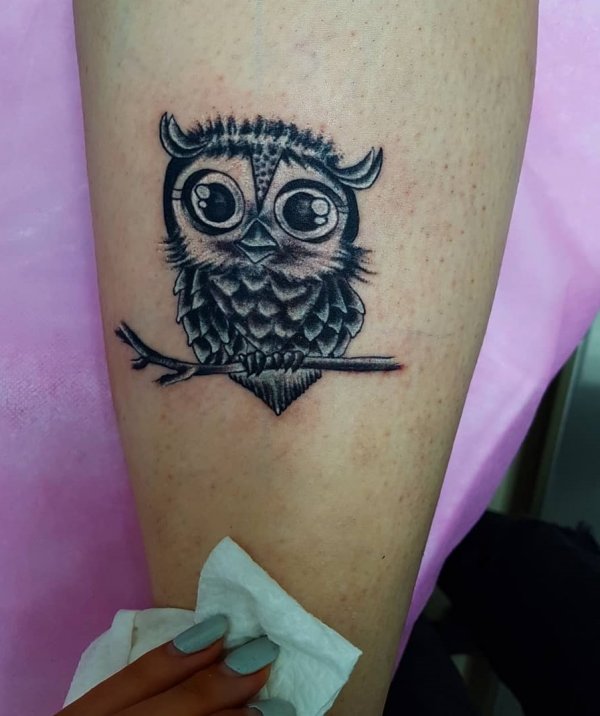 Adorable Tattoo Tree Brach With Owl On Lower Leg