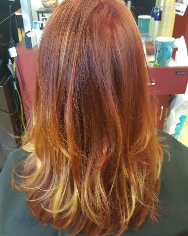 Copper Shimmer, Reddish Blonde And Golden Hairs