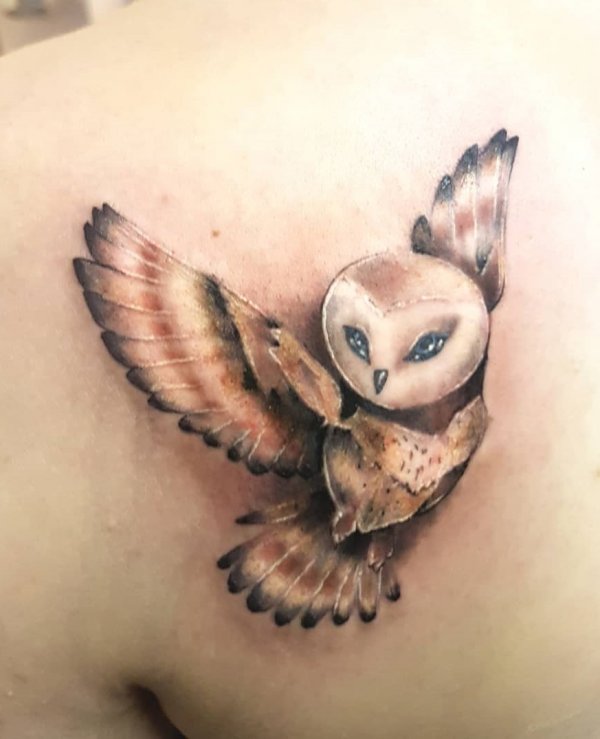 Creative 3D Owl Tattoo On Back Shoulder