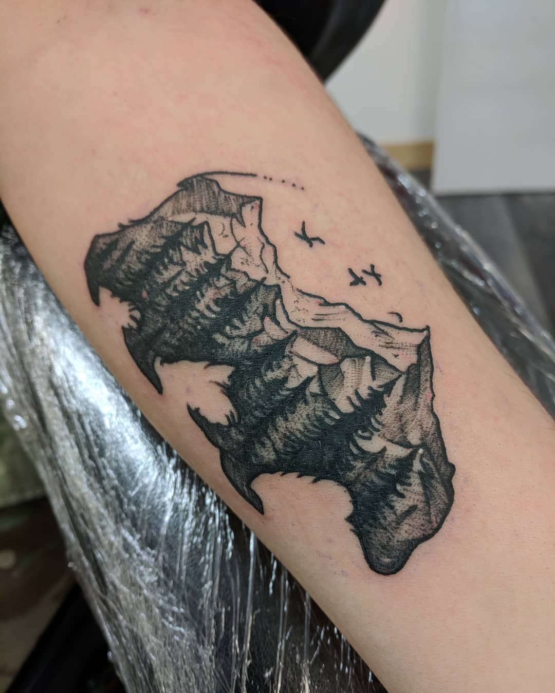 Forest, Mountain And Birds Tattoo On Half Sleeve