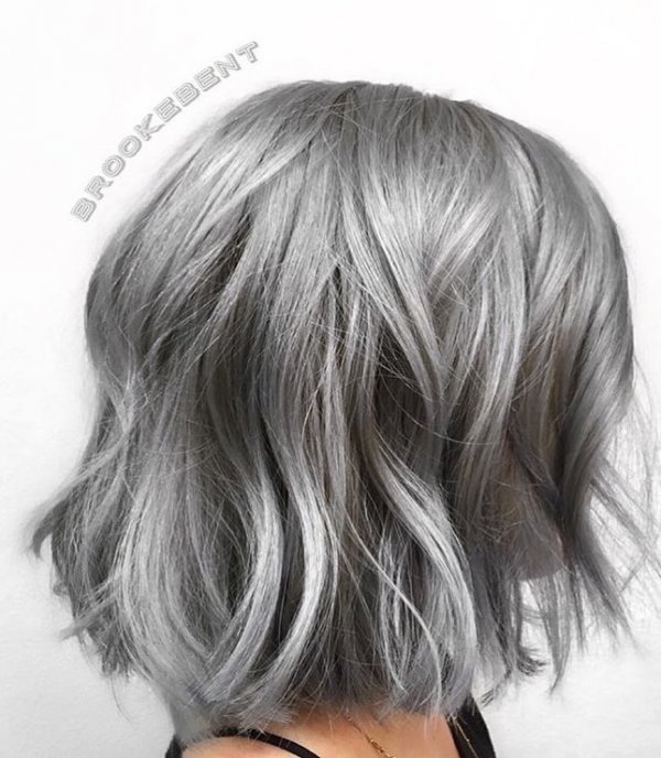 Graceful Silver Touch Gray Hairs