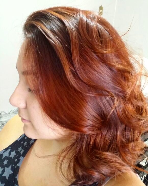 Gradient Brown To Red Hairs