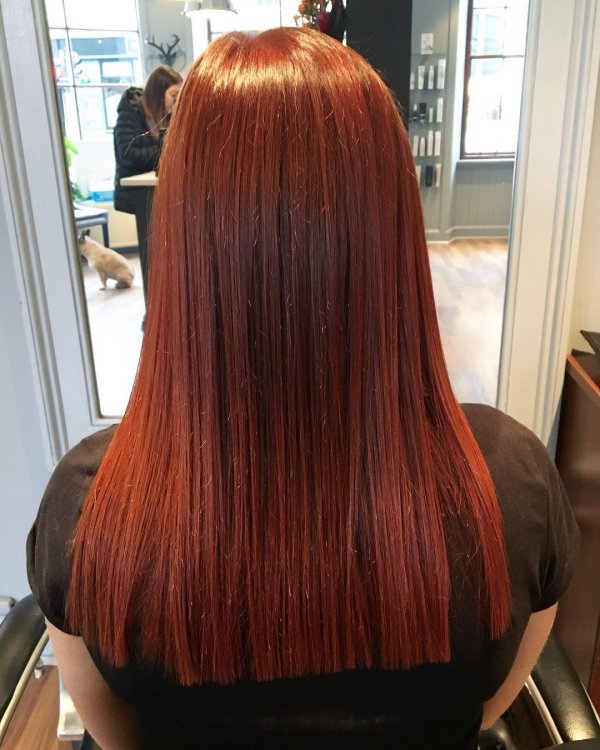 Impressive Brown To Red Hairs