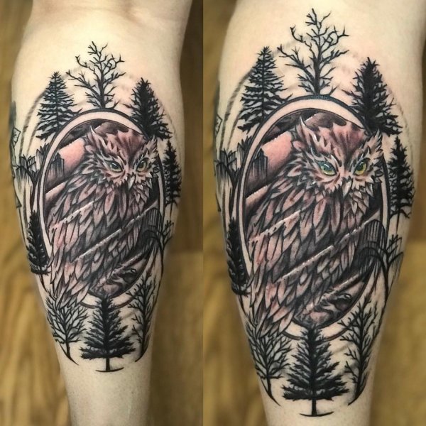 Nature Inspires Tattoo Of Trees With Owl