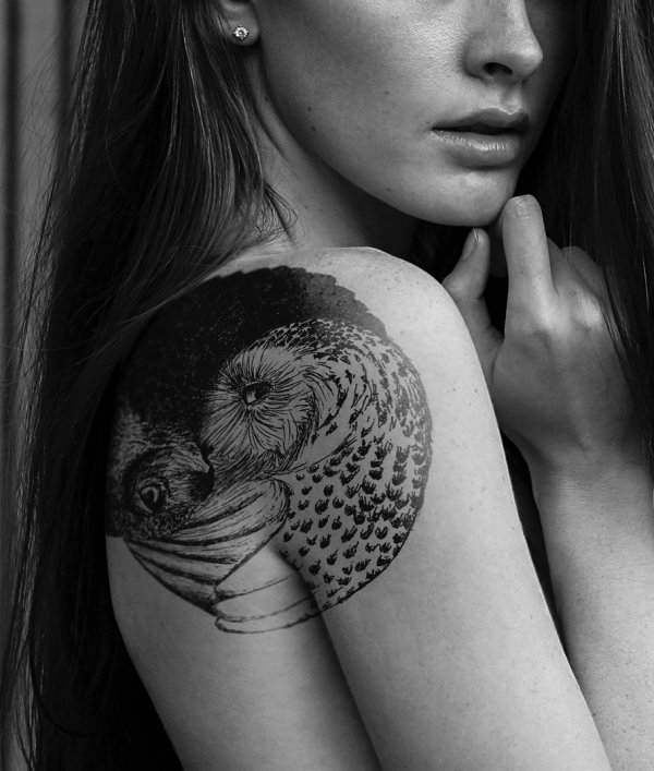 Rocking Owl Tattoo On Shoulder