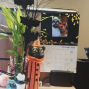 Nice office desk for Halloween. Pic by chub_chubby_bunny