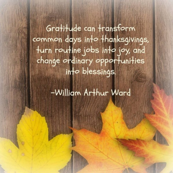Gratitude can transform common days into thanksgivings, turn routine jobs into joy, and change ordinary opportunities into blessings- William Arthur Ward. Pic by alvanatotti
