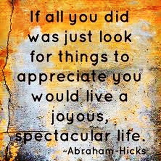 If all you did was just look for things to appreciate you would live a joyous, spectacular life - Abraham Hicks. Pic by devosevelien