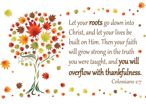 Let your roots go down into Christ and let your lives be built on him. Then your faith will grow strong in the truth you were taught and you will overflow with thankfulness. Pic by Daily