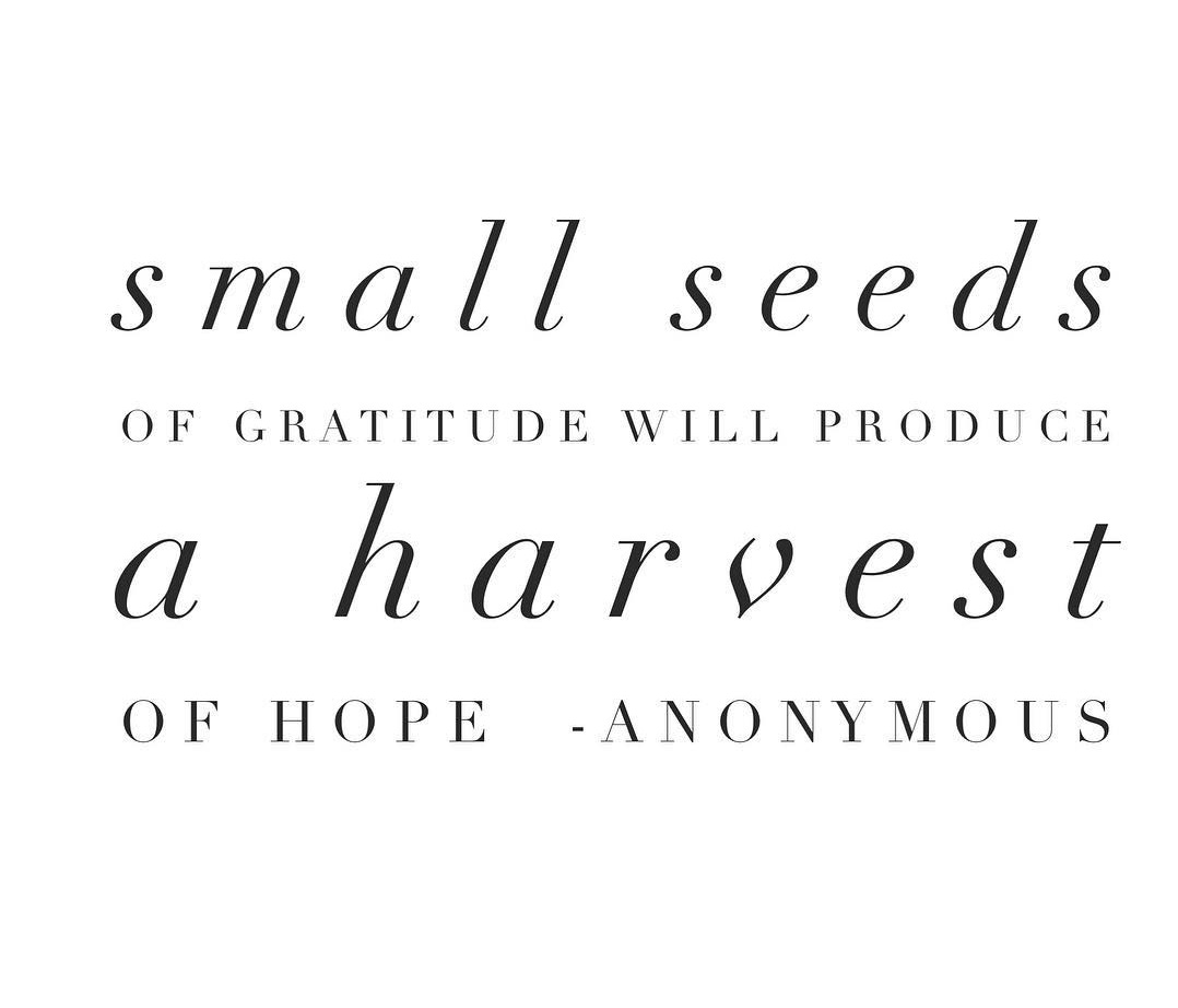 Small seeds of gratitude will produce a harvest of hope - Anonymous. Pic by beautynextdoorco