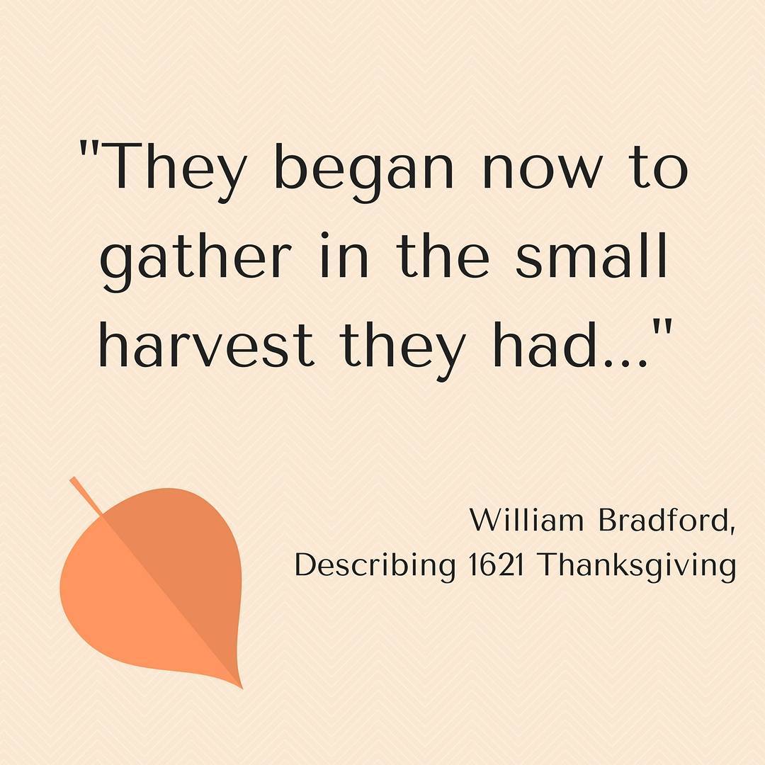 They began now to gather in the small harvest they had- William Bradford. Pic by gazette665