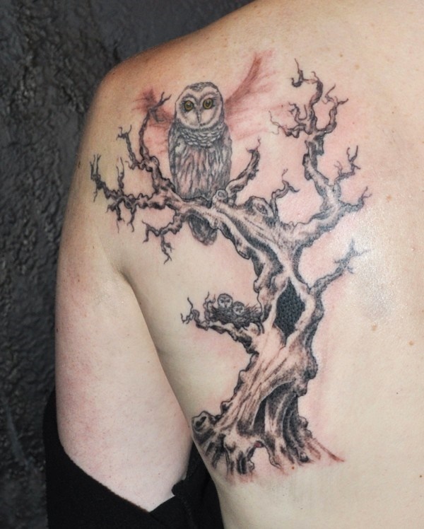 Dead tree and owl tattoo looks haunted.