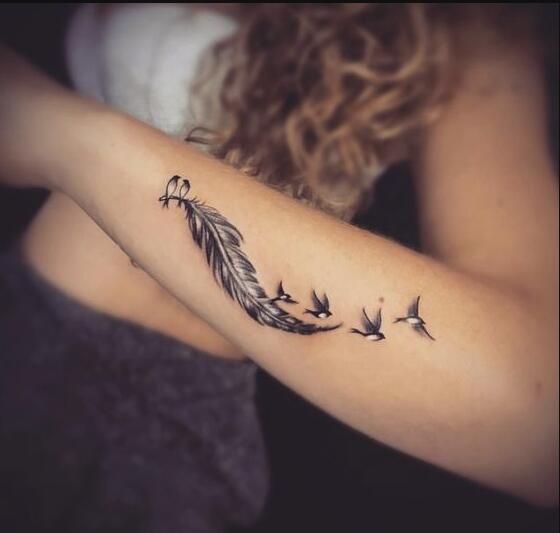 Exclusive feather with birds.