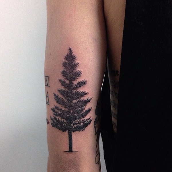 Exclusive pine tree tattoo with different shapes.