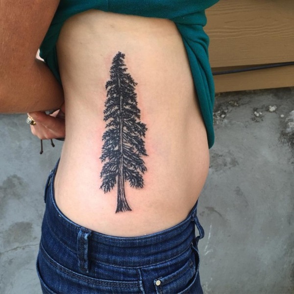 Glamorous pine tree on side.