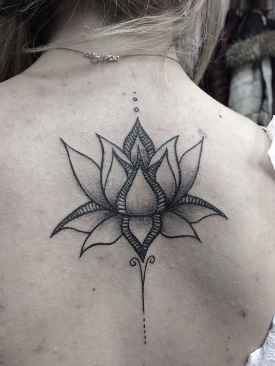 Grey lotus is looking fabulous on back.