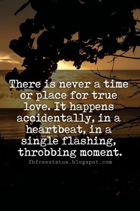 There is never a time or place for true love. It happens accidentally, in a heartbeat, in a single flashing, throbbing moment - Sarah Dessen.