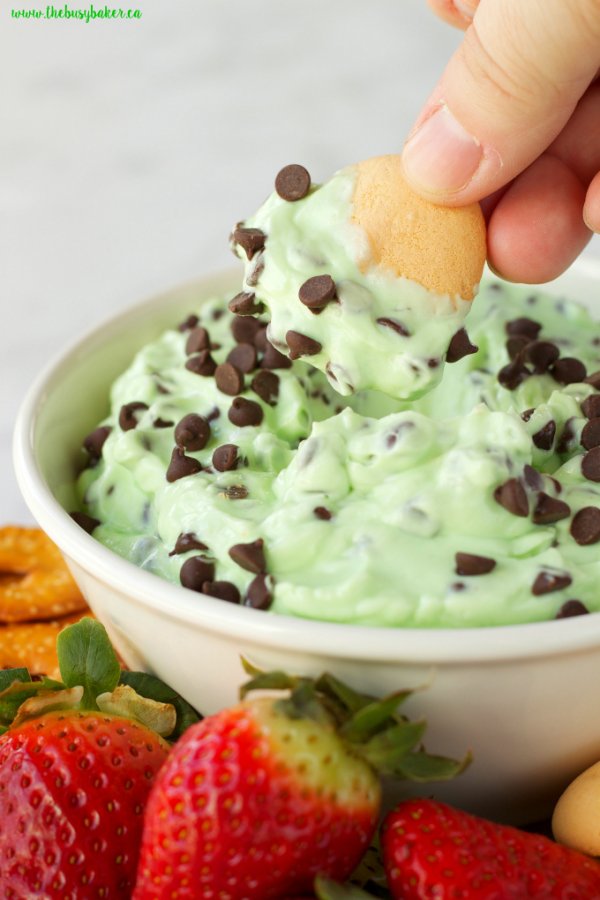 Delicious mint chocolate chip cheesecake dessert dip.