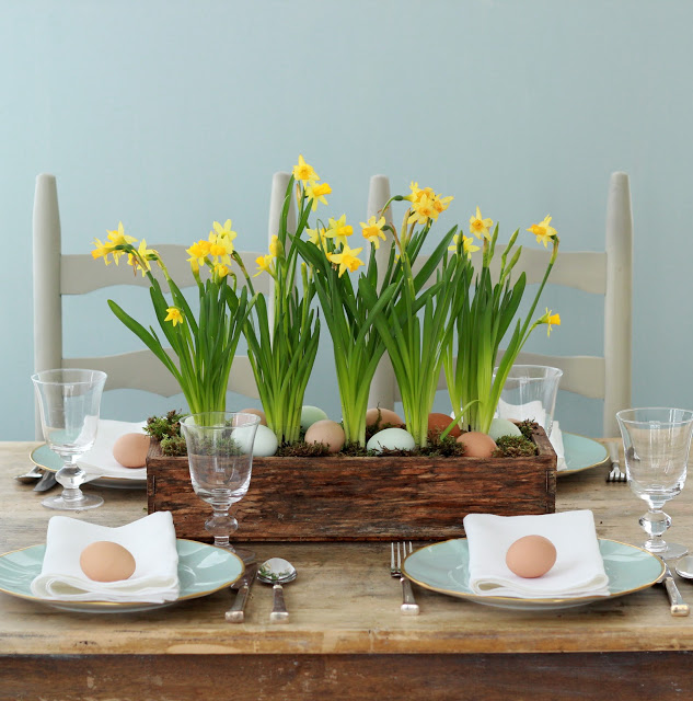 A wooden box is filled with moss, blue and brown eggs and pale yellow paperwhites.