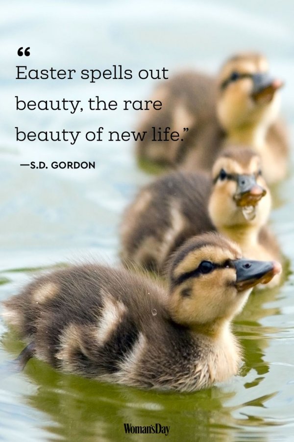 Easter spells out beauty, the rare beauty of new life - S. D. Gordon.