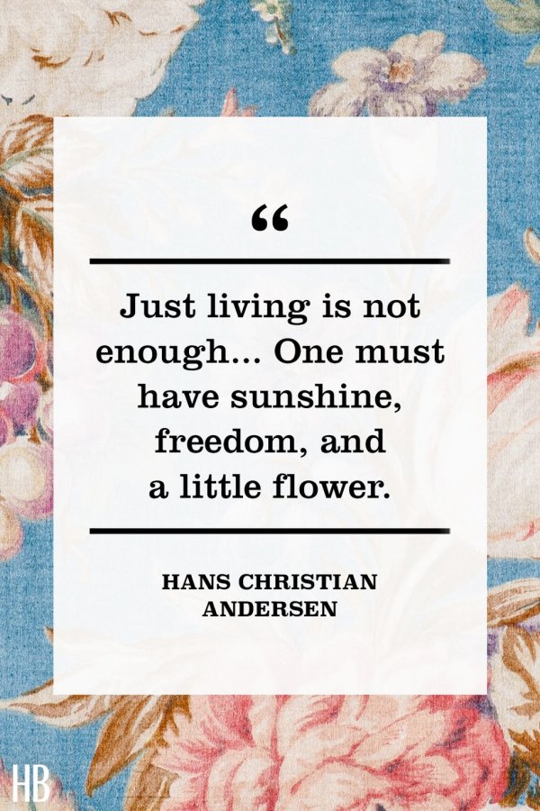 Just living is not enough ... One must have sunshine, freedom, and a little flower - Hans Christian Andersen.