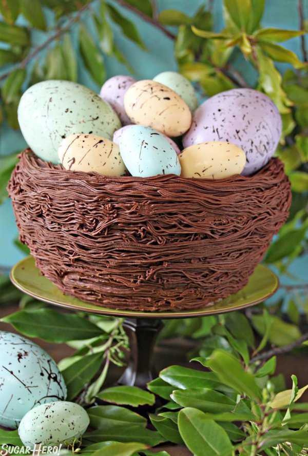 Nest chocolate cake, top decoratedd with speckled eggs.