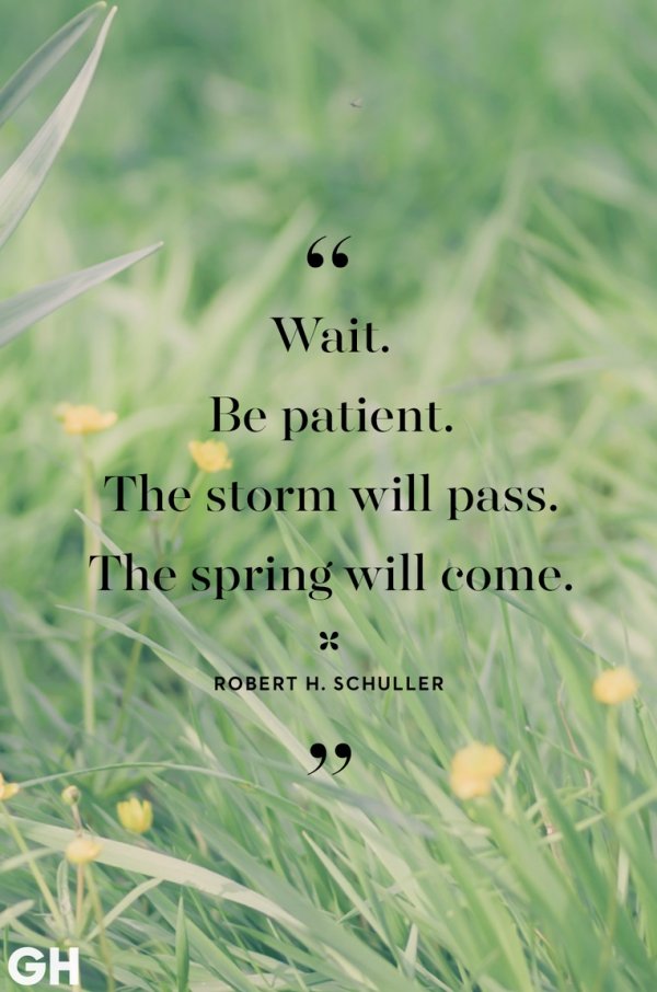 Wait. Be patient. The storm will pass. The spring will come - Robert H. Schuller.