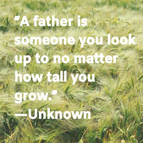 A father is someone you look up to no matter how tall you grow.