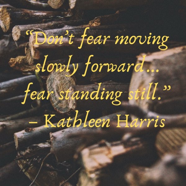 Don’t fear moving slowly forward…fear standing still.