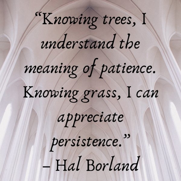 “Knowing trees, I understand the meaning of patience. Knowing grass, I can appreciate persistence.”