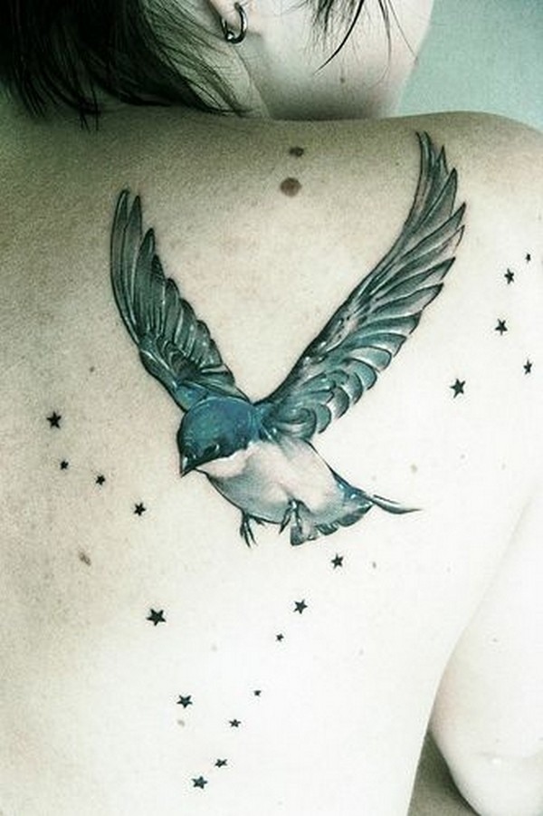 Bird with stars on back.