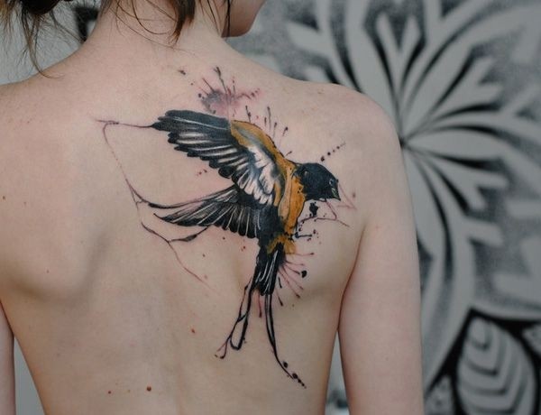 Exclusive bird tattoo on women back.