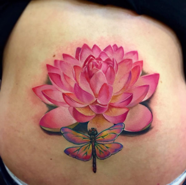 Little dragon fly sitting on pink lotus.