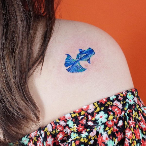 Love this blue fish tattoo inked on back shoulder.