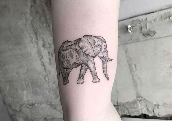 Artistic elephant tattoo.