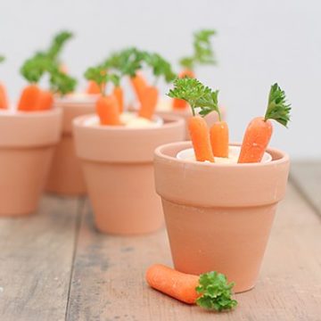 Carrot patches.