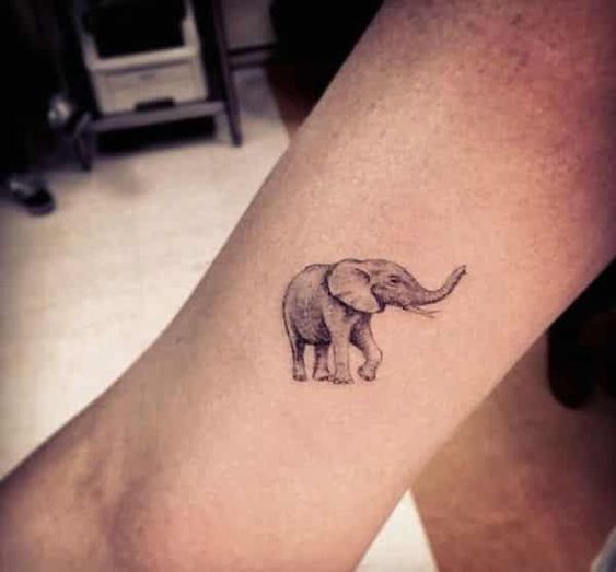 Exquisite elephant tattoo.