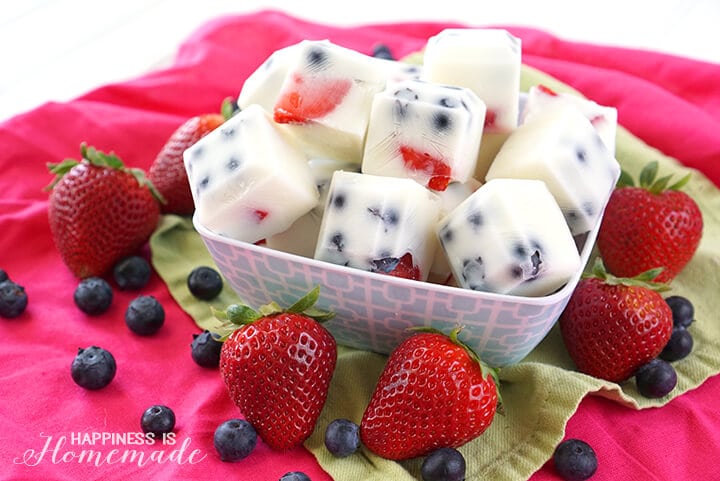 Frozen Yogurt Berry Bites Healthy Snack.