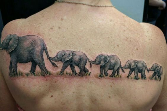 Group of elephant tattoos on back.