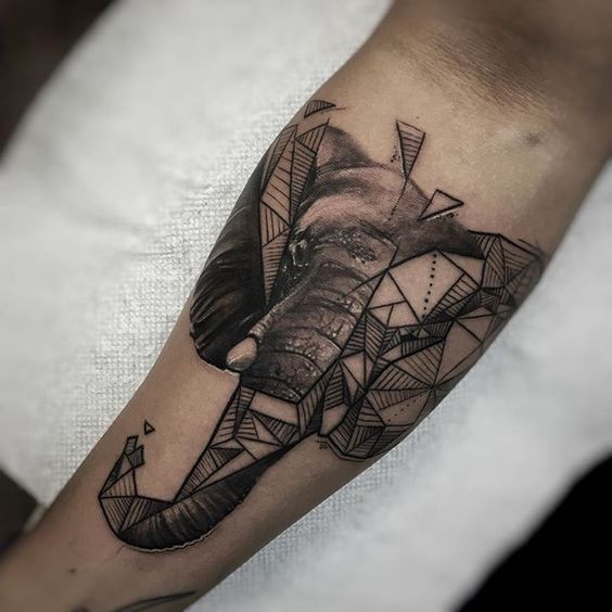 Half n half elephant tattoo.