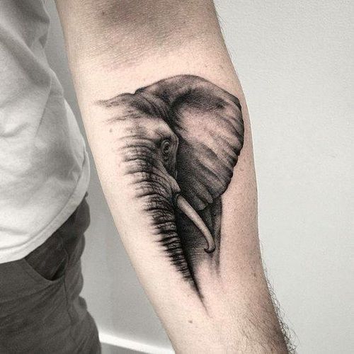 Realistic half elephant tattoo on forearm.