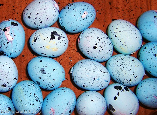 Dollar store robin eggs for Easter.