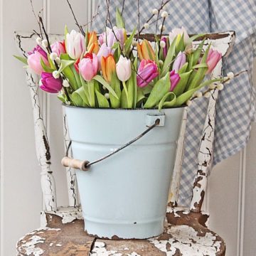 Tons of tulips in galvanized bucket.