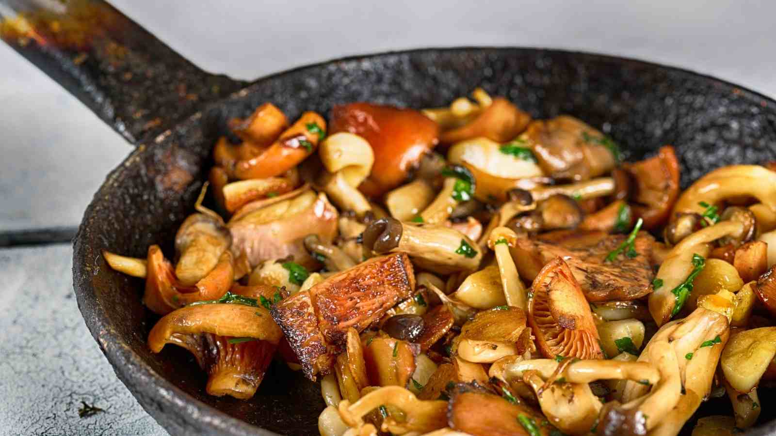 Mushrooms Are they good for Health