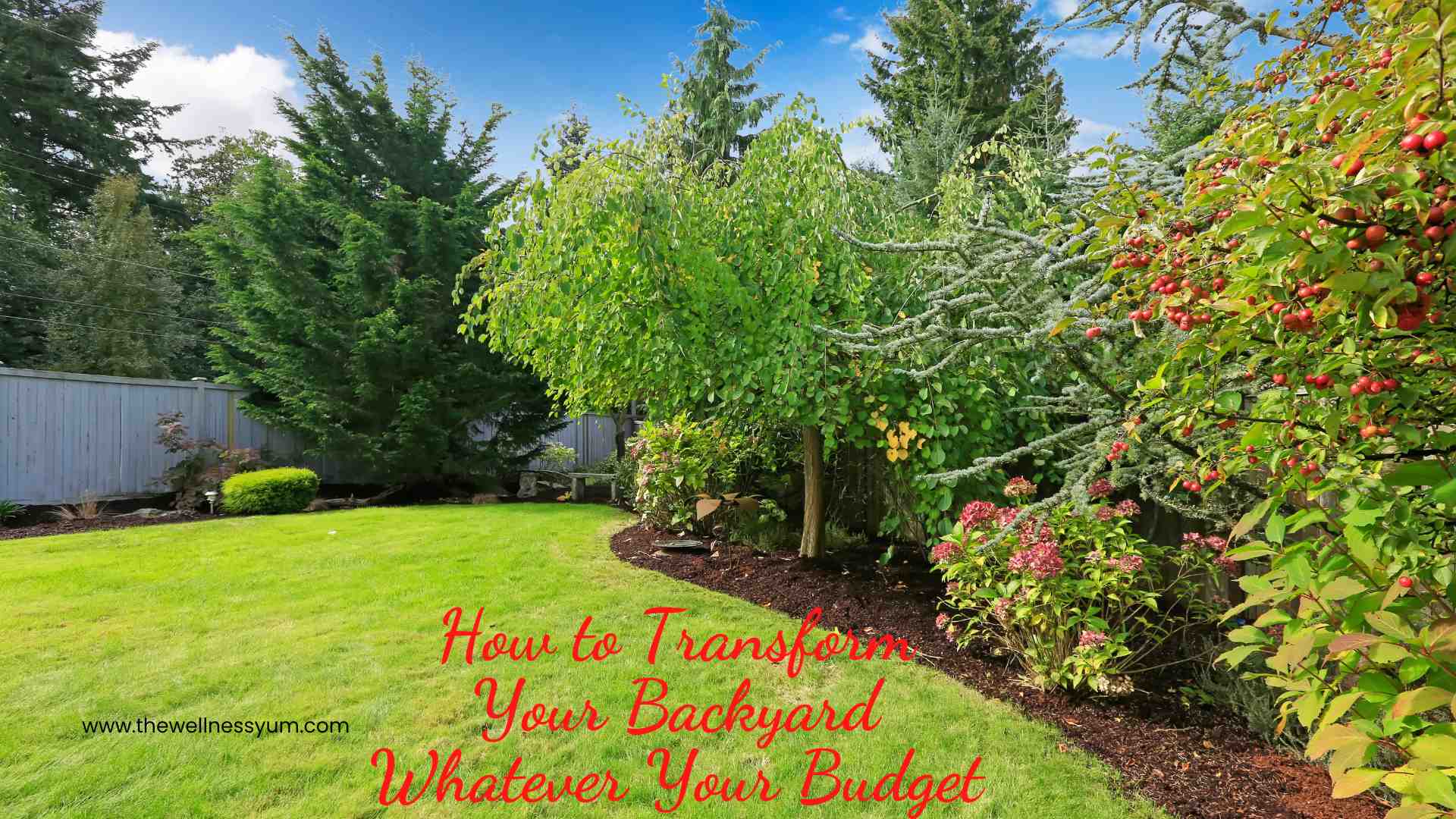 How to Transform Your Backyard Whatever Your Budget