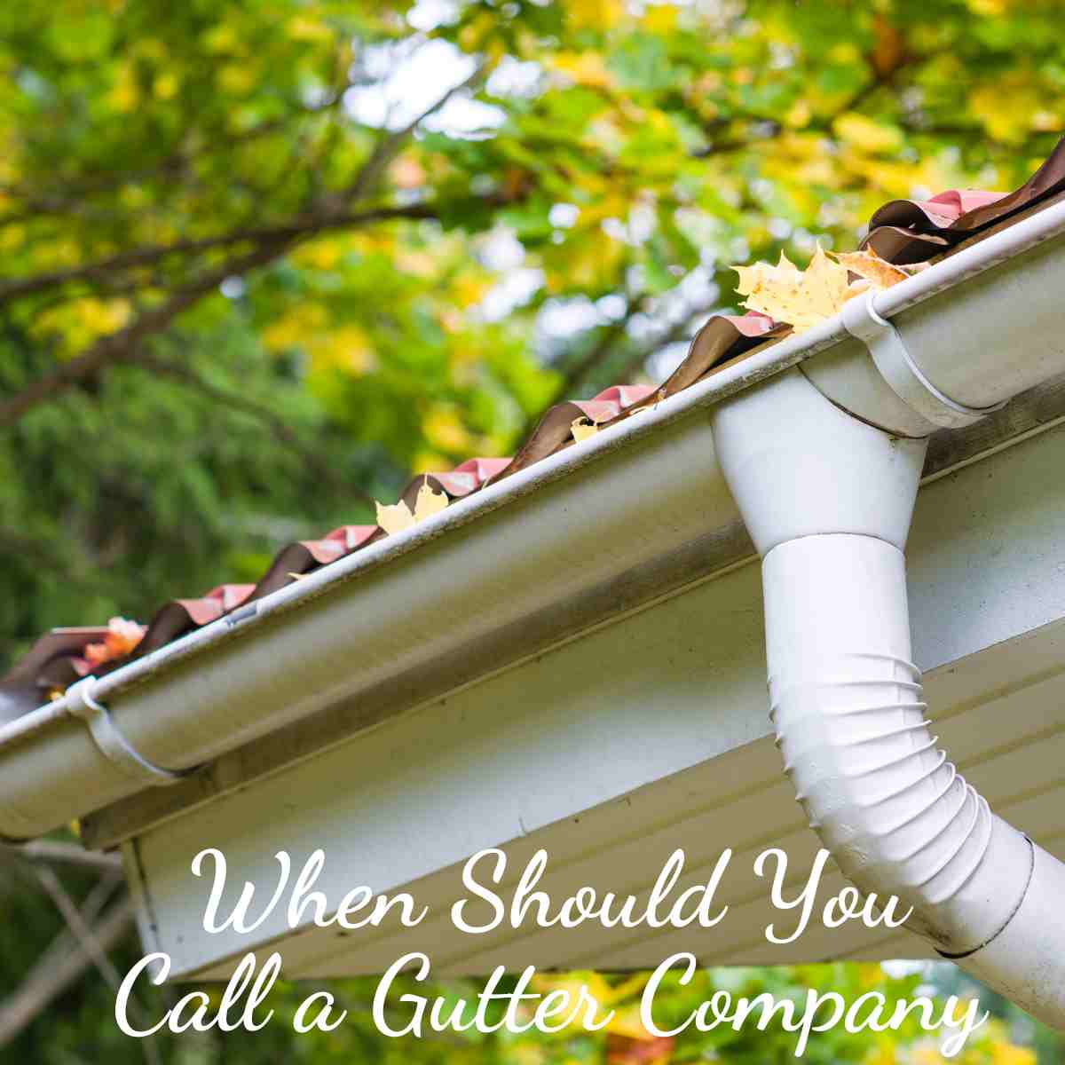 When Should You Call a Gutter Company